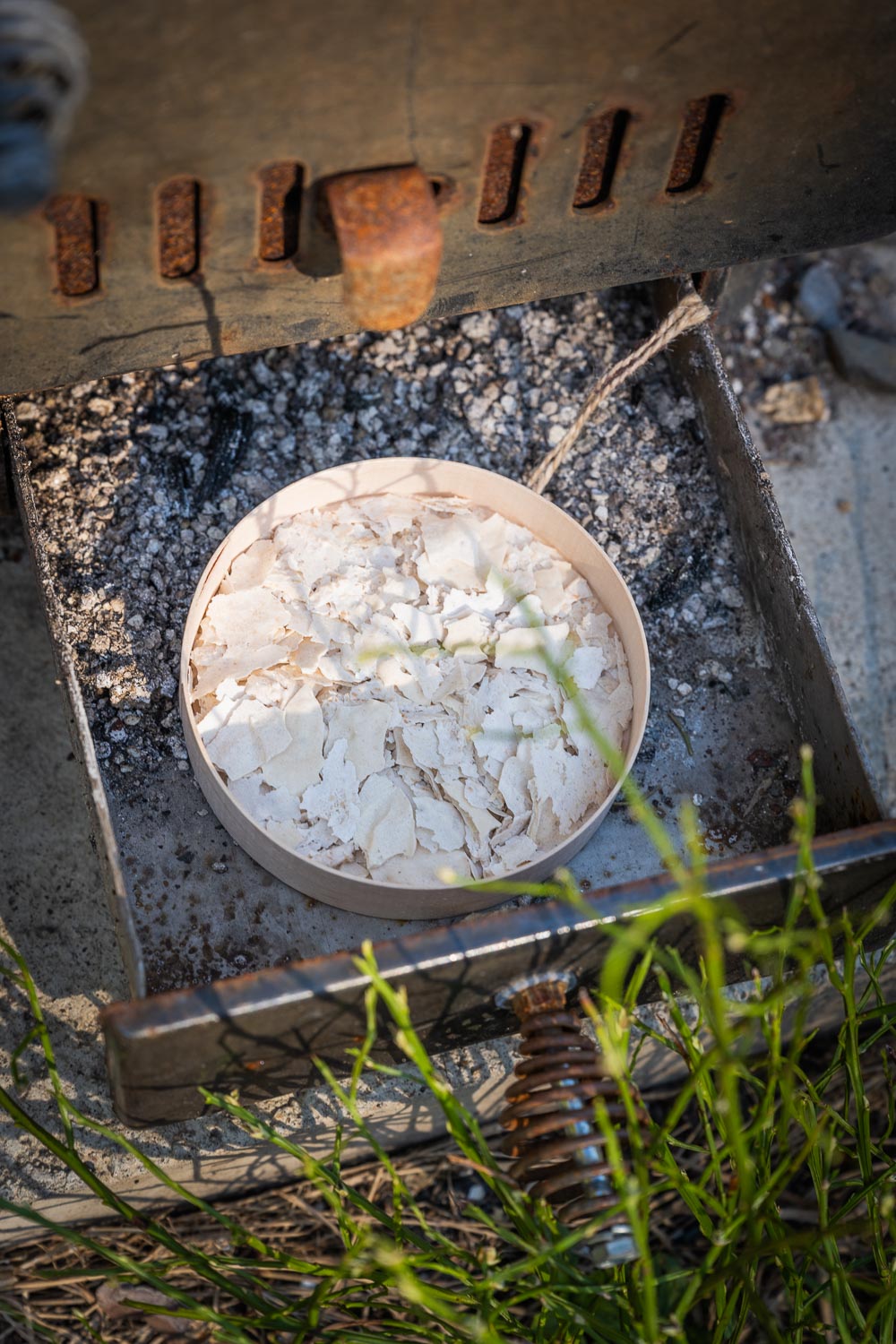 Tahvo kuivattu vehnäjuuri hapanjuurileivontaan