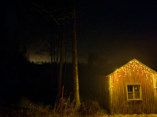 Vuosi 2026 - tervetuloa!