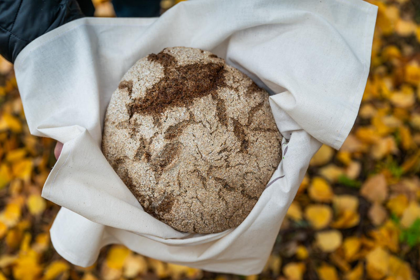 Minustako hapanjuurileipuri -kurssi perusteet